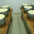 Real srl - 4