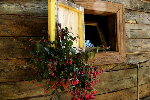Legno Antico CHALET IN ROVERE PROVENIENTE SVIZZERA - 7