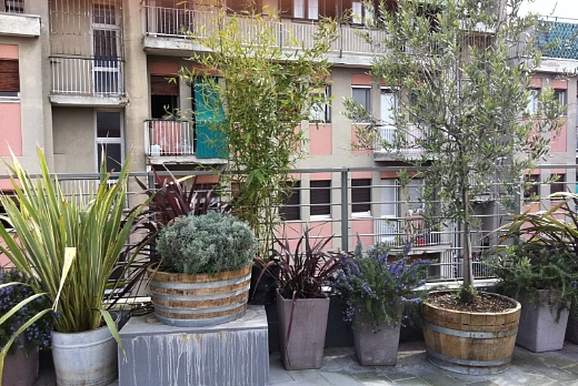 Giardini Pagani progettazione e realizzazione terrazzo in milano - 2