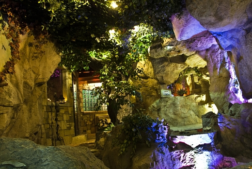 enchanted-forest