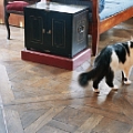 Posa e Vendita Parquet - 3