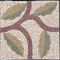 Tomasello benedetta - 5