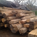 Legno Antico - 3