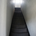 EWF OFFICINE PARQUET srl - 2