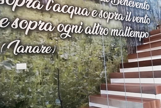Biocasa Pavimenti in legno esotico - Iroko - - 9