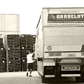 Parchettificio Garbelotto s.r.l. e Master Floor s.r.l. - 3