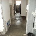 Dutca Catalin - 5