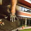 Cotto Impruneta - 1