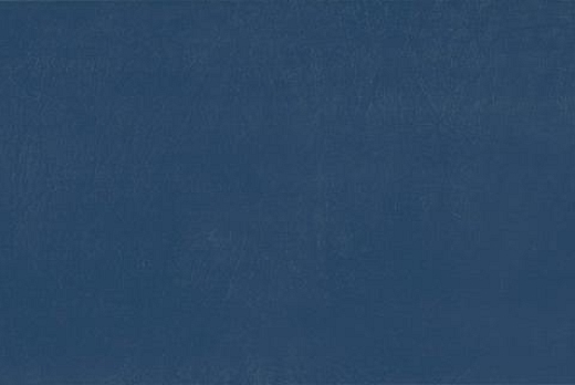 BLU LIZ 20X50
