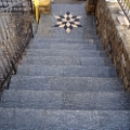 Picaprede di Darkin Maffi - 4