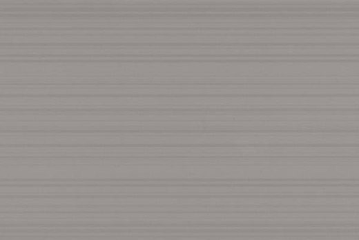SILVER 20x50