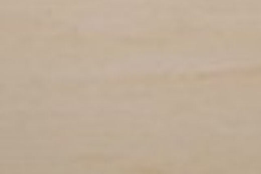 Liuni SpA Pavimenti statici dissipativi POLYFLOR SD - 4