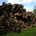 ANTICO CADORE SRL - 1